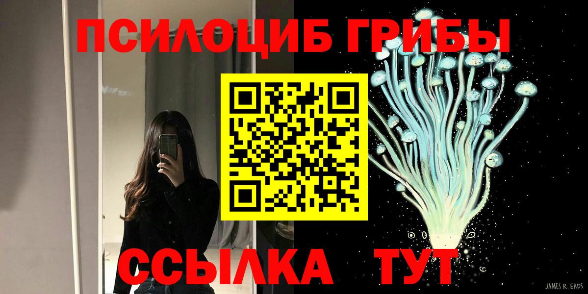 Псилоцибиновые грибы Cubensis  Вход с VPN  Бутурлиновка 